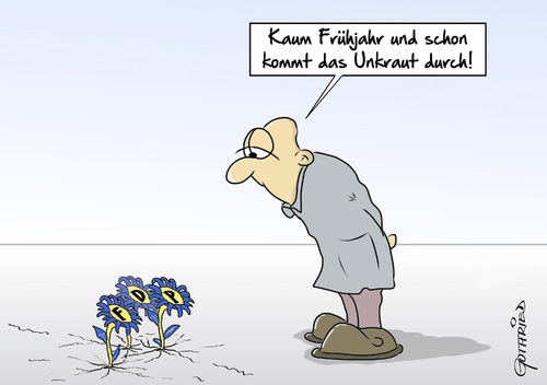 Cartoon: Unkraut (medium) by Marcus Gottfried tagged wahl,bremen,fdp,unkraut,frühjahr,wiederbelebung,frühling,marcus,gottfried,cartoon,karikatur,wahl,bremen,fdp,unkraut,frühjahr,wiederbelebung,frühling,marcus,gottfried,cartoon,karikatur