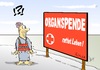 Cartoon: Organspende (small) by Marcus Gottfried tagged organ,spande,marcus,gottfried,cartoon,karikatur,organspende,arzt,krankenhaus,leben,retten,rote,kreuz,klinik,transplantation,leber,niere,attentat,selbstmord,attentäter,zweifel,erstaunen,alternative