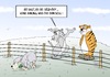 Cartoon: Vegi Day (small) by Marcus Gottfried tagged vegi,day,vegetarier,vegetarisch,fleisch,gemüse,essen,nahrung,ernährung,tiger,wolf,schaaf,grün,grünzeug,gesundheit,feld,zaun,wiese