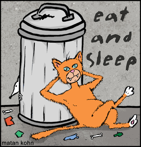 Cartoon: The life of cats (medium) by matan_kohn tagged cat,cats,catslover,catlover,funny,caricature,illustration,animal,animals,funnycats,quote,garbege,smile,jokes,notdog,eat,food,sleep,sleeping,kitten,kitty,hellokitty