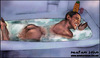 Cartoon: Barack Obama takes a shower (small) by matan_kohn tagged barack,obama,takes,shower,funny,caricature,matan,kohn,water,amusing,realistic,laughing,hummer