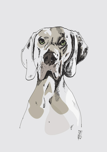 Cartoon: dog (medium) by Achatz tagged vektor,zeichnung