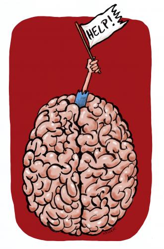 brain brain