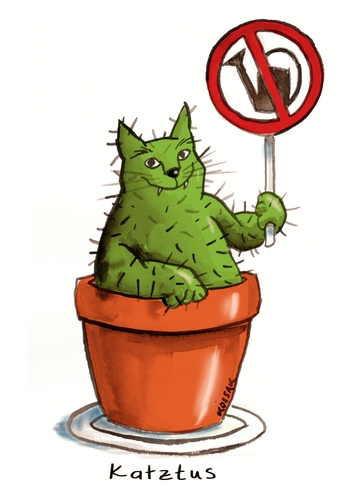 Catus Catus