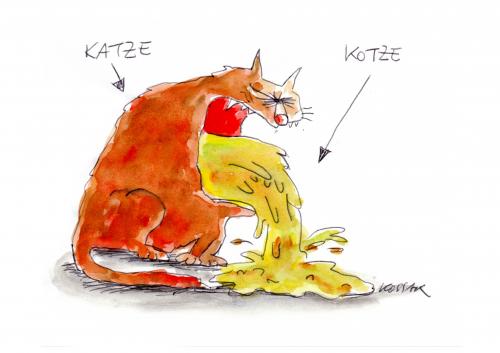 Katze-Kotze Katze-Kotze