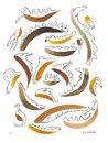 Cartoon: Ursuppeneinlage 1 (small) by Kossak tagged schöpfung,tiere,wesen,suppe,amphibien,evolution