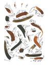 Cartoon: Ursuppeneinlage 2 (small) by Kossak tagged schöpfung,tiere,wesen,suppe,amphibien,evolution