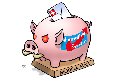 AfD-Spenden AfD-Spenden