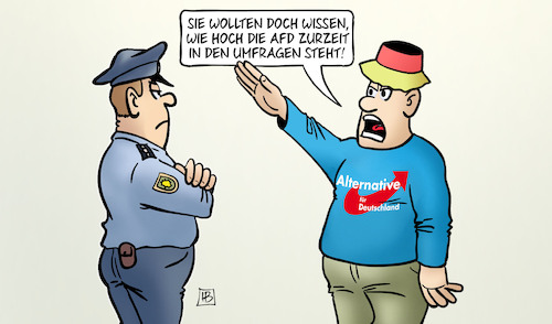 AfD-Umfragehoch AfD-Umfragehoch