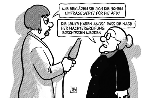 AfD-Werte