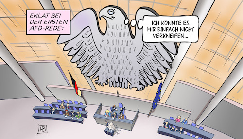 AfD im Bundestag AfD im Bundestag