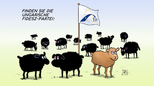 Braunes Schaf Braunes Schaf