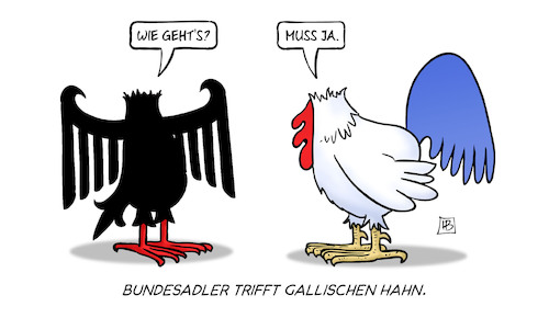 Bundesadler trifft gallischen Ha Bundesadler trifft gallischen Ha