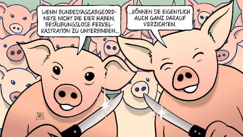 Bundestag und Ferkel Bundestag und Ferkel