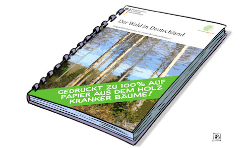 Bundeswaldinventur Bundeswaldinventur