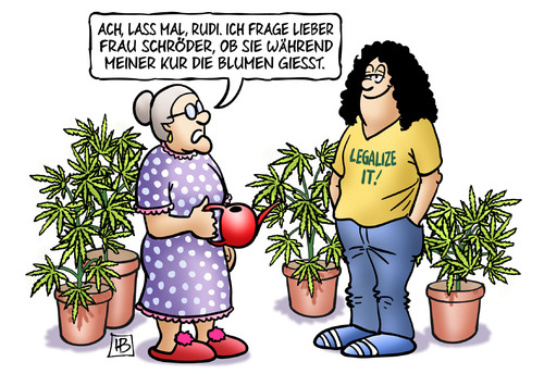 Cannabis-Anbau Cannabis-Anbau
