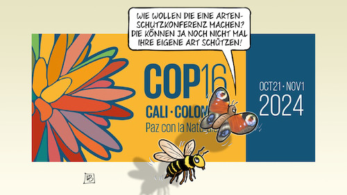 COP 16 COP 16