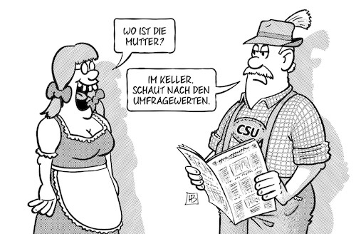 CSU-Werte