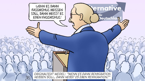 Dann eben Faschismus Dann eben Faschismus