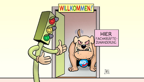 Fachkräfte und AfD Fachkräfte und AfD