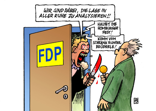 FDP-Wahlanalyse FDP-Wahlanalyse