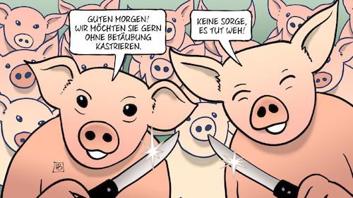 Ferkel Ferkel