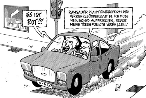 Flensburg-Punkte Flensburg-Punkte