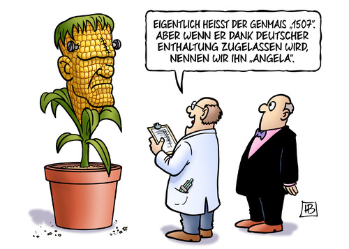 Genmais Angela Genmais Angela