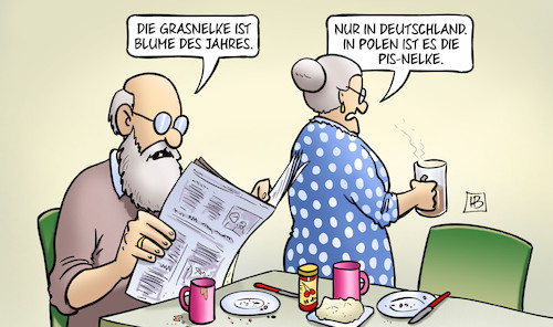 Grasnelke Grasnelke