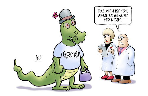 Groko-Diagnose Groko-Diagnose