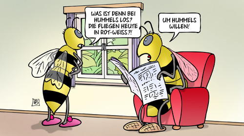 Hummels Hummels