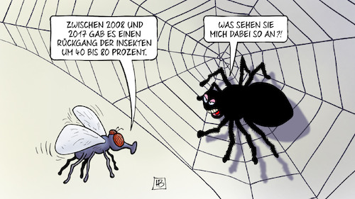 Insektenrückgang