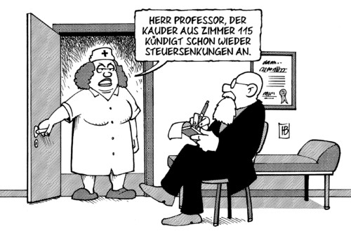 Kauder und Steuersenkung Kauder und Steuersenkung