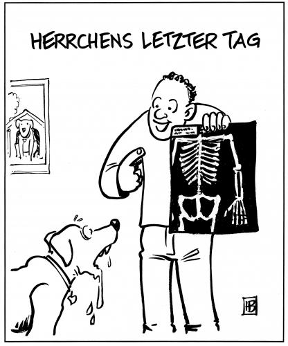 Knochen Knochen
