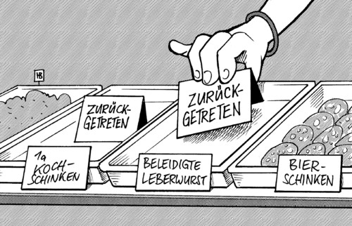 Köhler-Rücktritt Köhler-Rücktritt