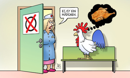 Cartoon: Le Pen gewinnt (medium) by Harm Bengen tagged entbindungsstation,krankenschwester,geburt,mädchen,junge,brathähnchen,gallischer,hahn,macron,le,pen,frankreich,stichwahl,wahl,präsidentschaft,harm,bengen,cartoon,karikatur,entbindungsstation,krankenschwester,geburt,mädchen,junge,brathähnchen,gallischer,hahn,macron,le,pen,frankreich,stichwahl,wahl,präsidentschaft,harm,bengen,cartoon,karikatur