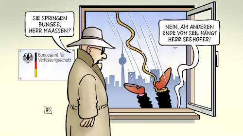 Maaßen-Absturz Maaßen-Absturz