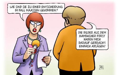 Maaßen absägen Maaßen absägen