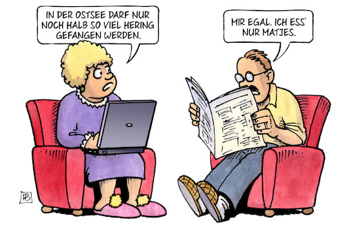 Matjes Matjes