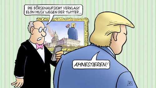 Musk-Amnestie Musk-Amnestie