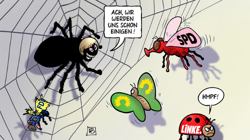Muttispinne Muttispinne