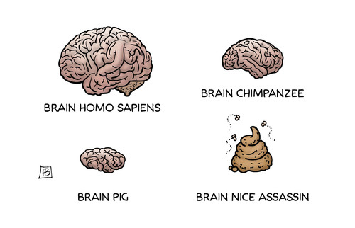 Cartoon: Nice Assasin (medium) by Harm Bengen tagged nice,assasin,terror,brain,nice,assasin,terror,brain