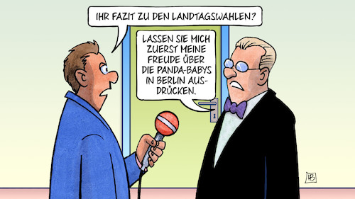 Panda-Babys Panda-Babys