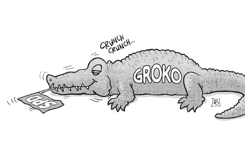 Pro-Groko