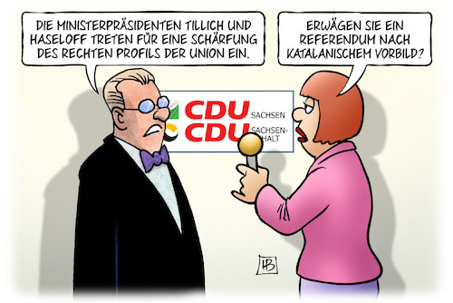 Rechtes Profil Rechtes Profil