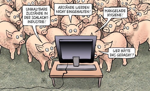 Schlachtabstände Schlachtabstände