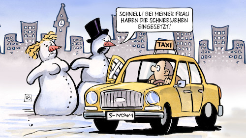 Schneewehen Schneewehen