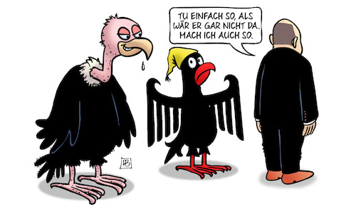 Scholz-Rat Scholz-Rat