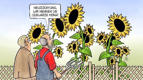 Schwarz-Grün-Sondierung NRW Schwarz-Grün-Sondierung NRW