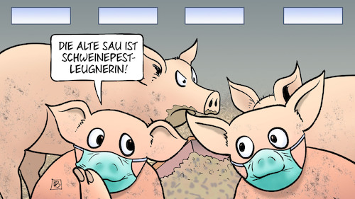 Schweinepest Schweinepest